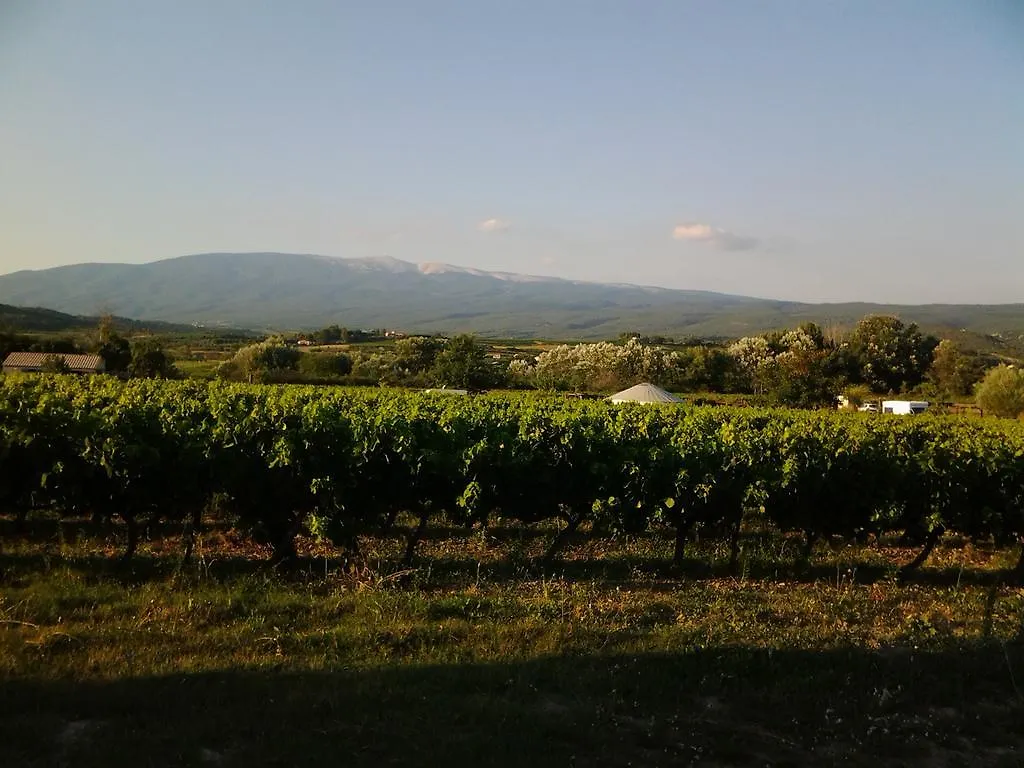 Hébergement de vacances Villa Le Cabanon d'Amandine et Gabriel à Blauvac