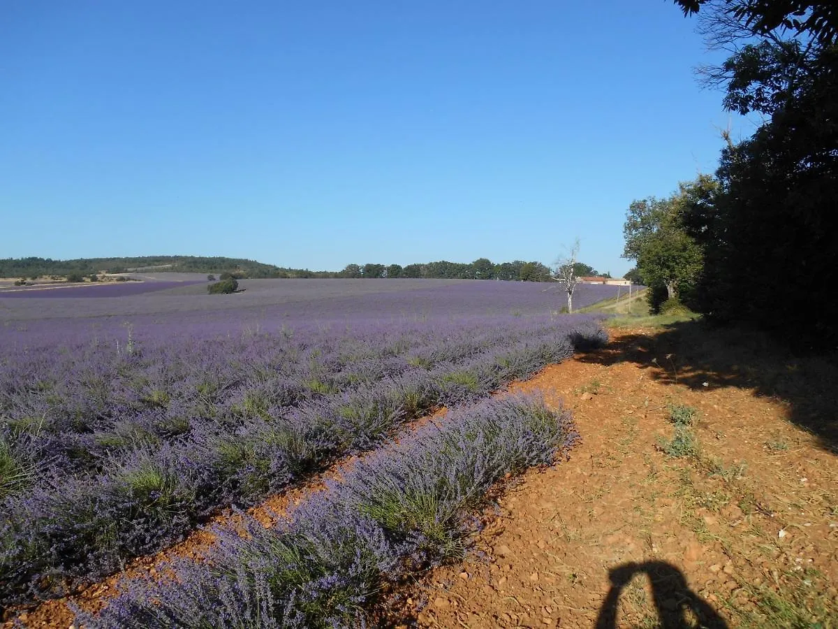 Le Cabanon D'Amandine Et Gabriel Villa Blauvac Holiday home